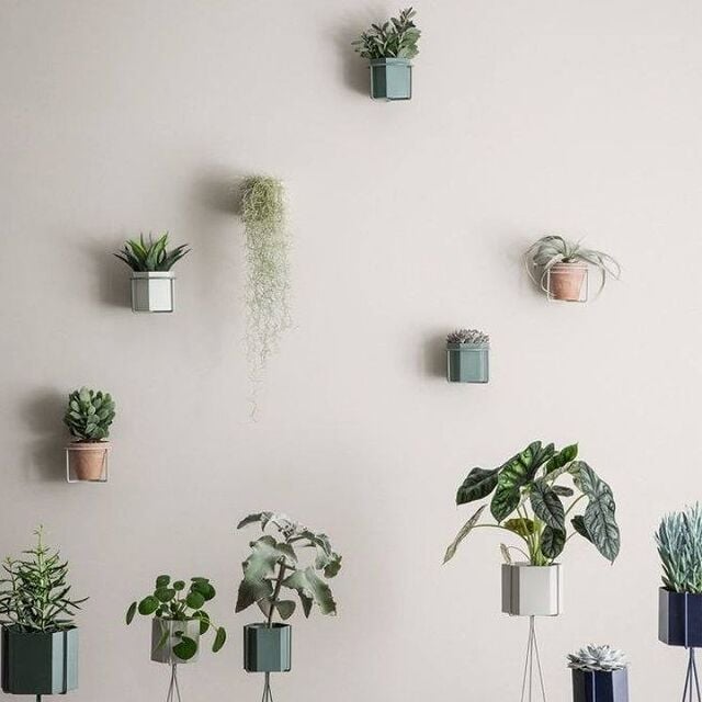 Les pots muraux créent une décoration intéressante lorsqu'ils sont regroupés