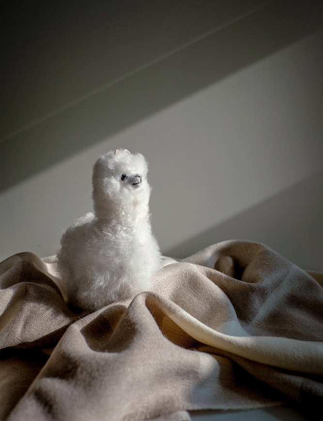 Elvang Λούτρινο Άλπακα, μπεζ