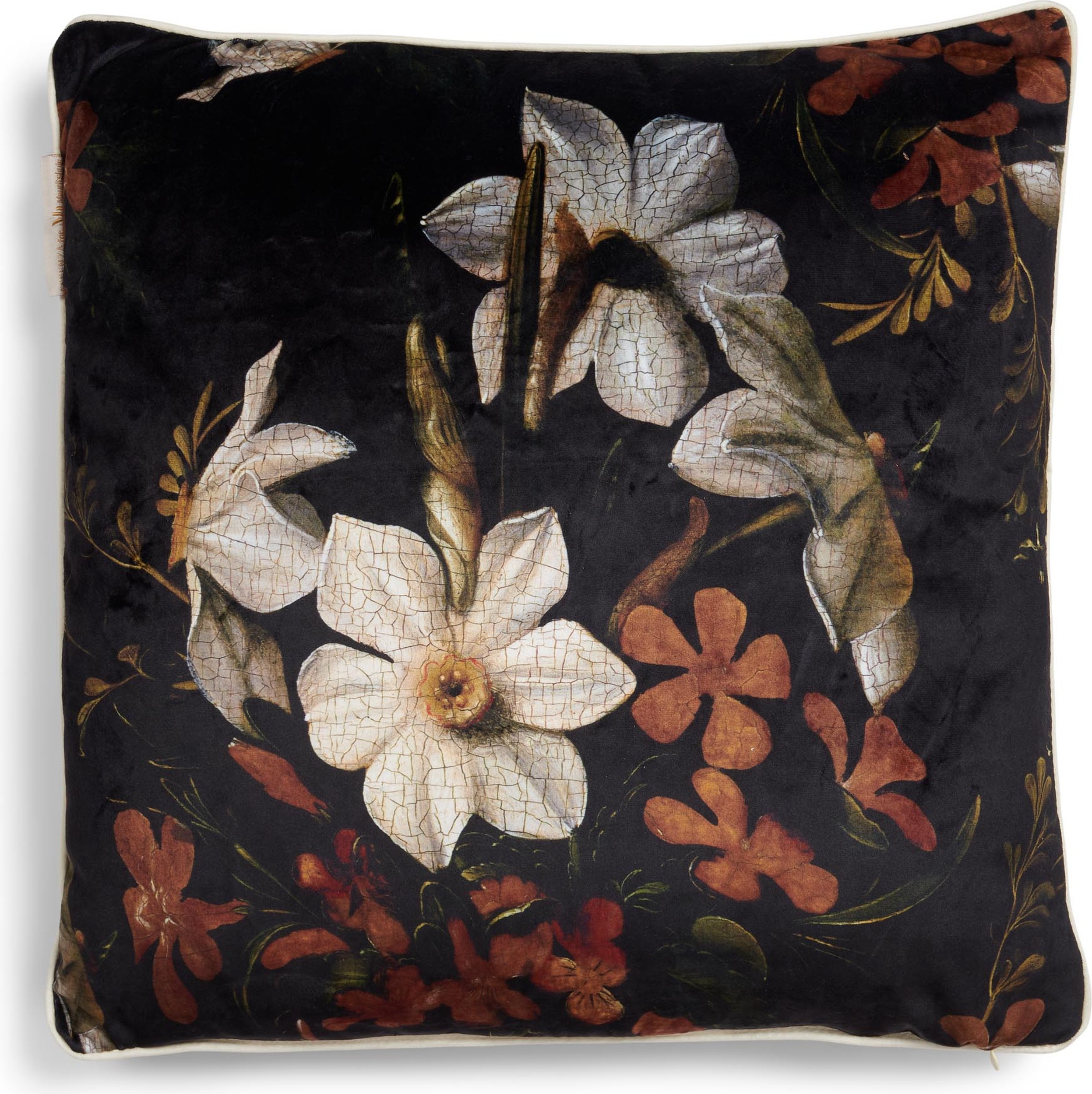 Daffodil Reunited Kissen 50 x 50 cm schwarz