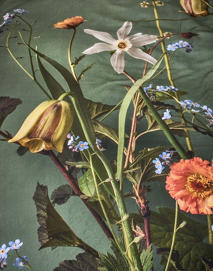 Ficaria Posteljnina, 140 x 200 cm, zelena, s prevleko za vzglavnik 70 x 90 cm, zapiranje na zadrgo