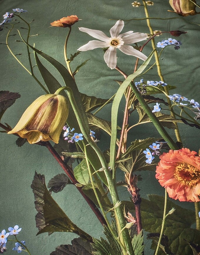 Funda Nórdica Ficaria, 200 x 200 cm, verde, con 2 fundas de almohada 80 x 80 cm, cierre de cremallera