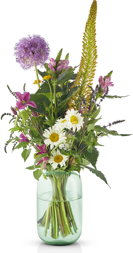 Acorn Βάζο, 22 cm, μέντας