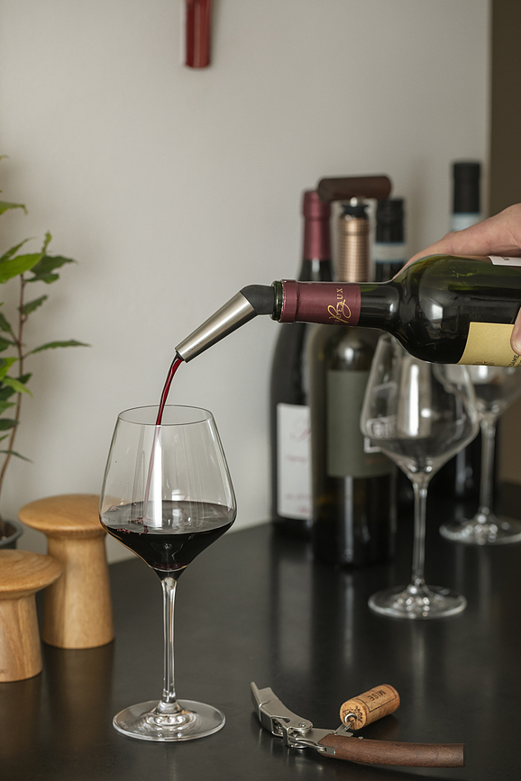 Catalyzer Dekanter aerator za vino