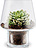 Eva Solo Blumentopf für Sukkulenten 15 cm aus Glas