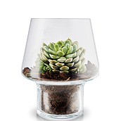Eva Solo Blumentopf für Sukkulenten 15 cm aus Glas