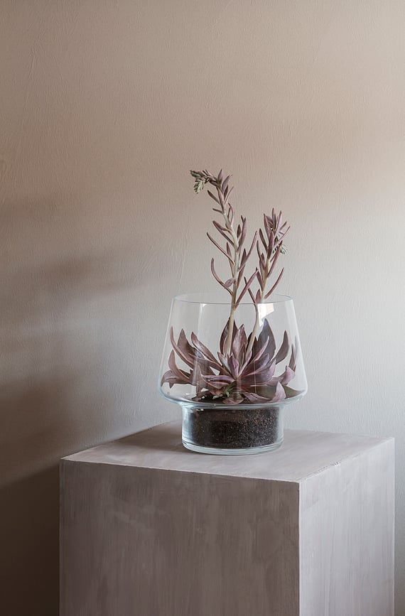 Eva Solo Posuda za sukulente 15 cm staklena