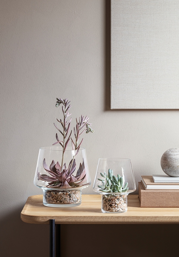 Eva Solo Pot pour succulentes, 15 cm, verre