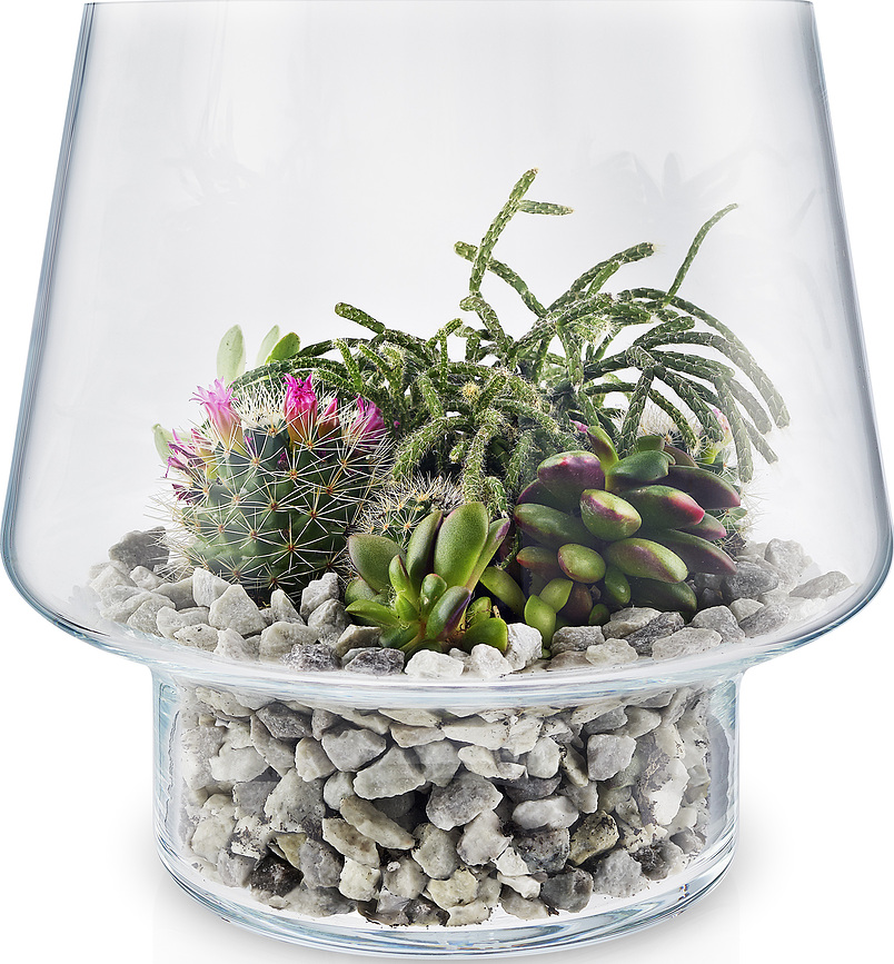 Eva Solo Pot à Succulentes, verre