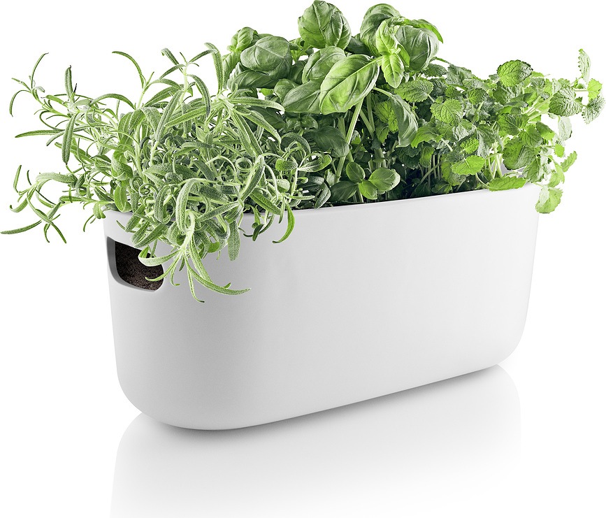 Eva Solo Pot Auto-Arrosant, blanc