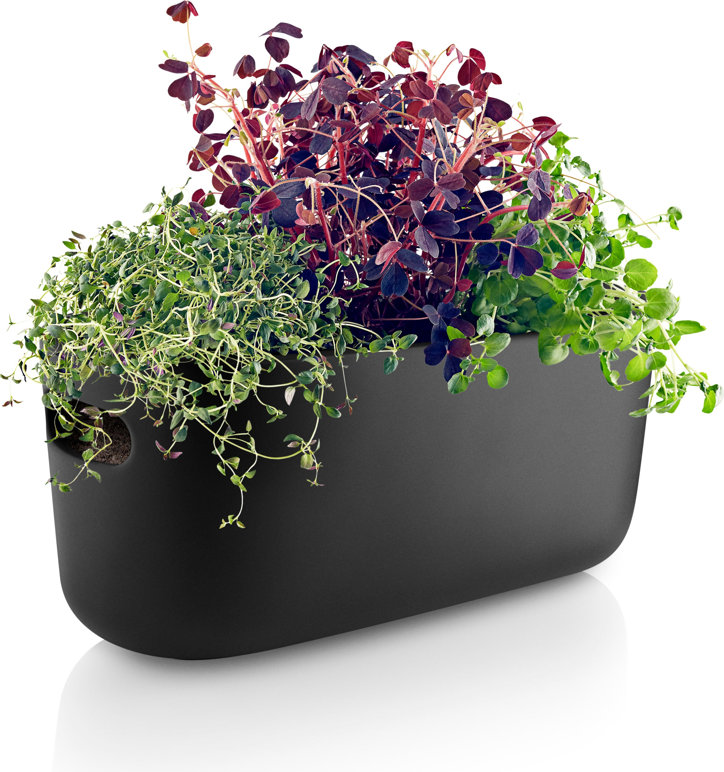 Eva Solo Selbstbewässernder Blumentopf schwarz