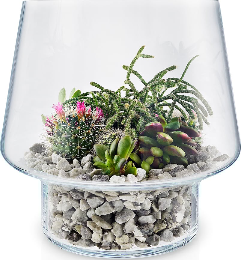 Eva Solo Tegla za sukulente 21 cm staklena