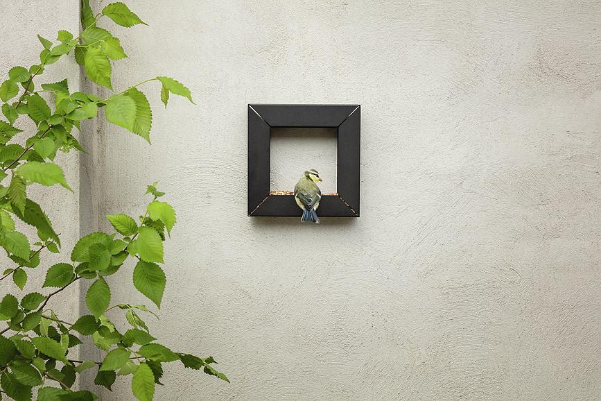 Frame Hranilica za ptice