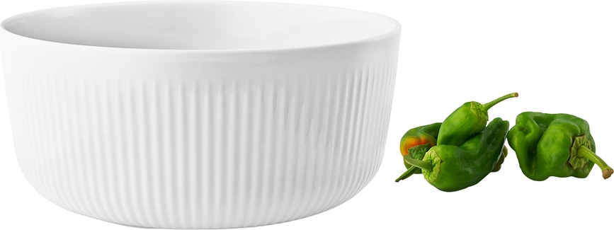 Legio Nova Saladier 24 cm