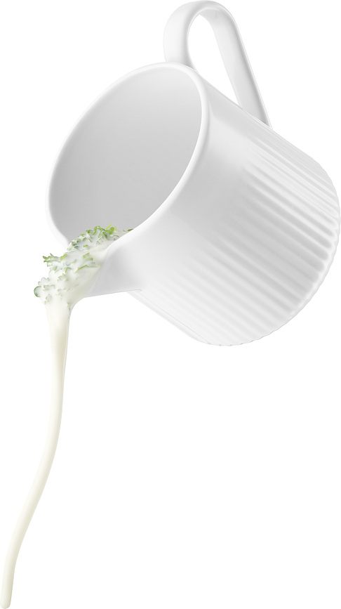 Legio Nova Pichet avec anse, 1 l