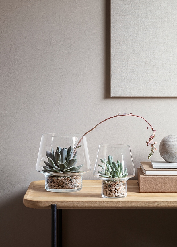 Maceta de cristal Eva Solo, 15 cm, para suculentas