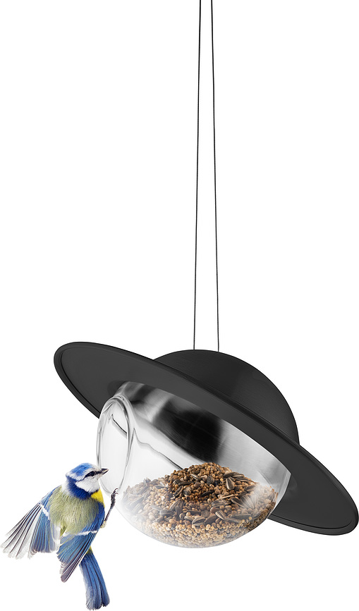 Saturn Ταΐστρα Πουλιών, μαύρη