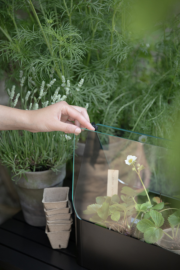 Simply Grow Θερμοκήπιο, 32 εκ.