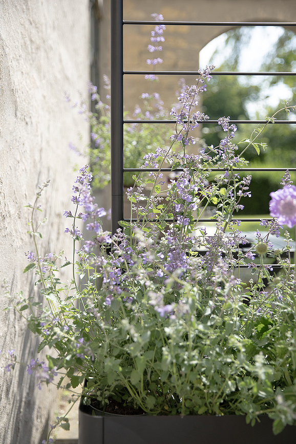 Simply Grow Tuteur pour Plantes, 102 cm