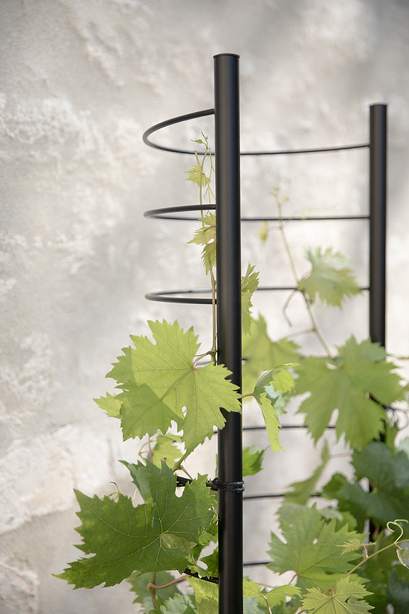 Simply Grow Tuteur pour Plantes 145 cm