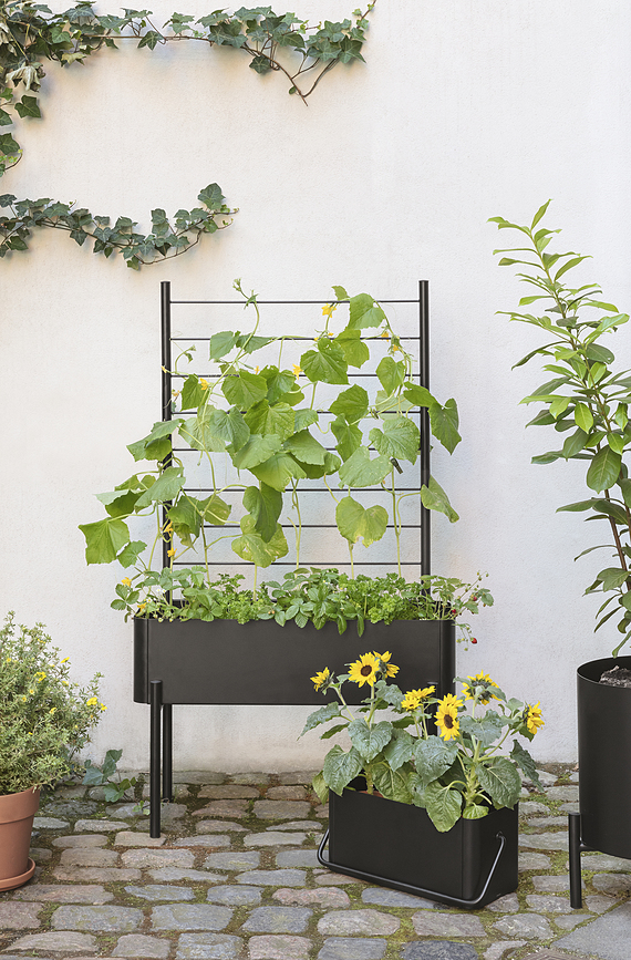 Soporte para plantas colgante Simply Grow