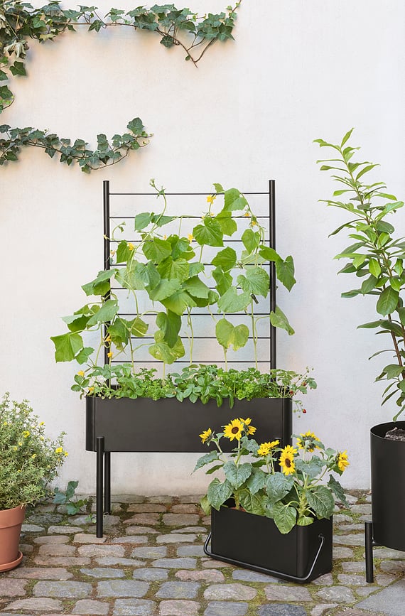 Tutor para Plantas Simply Grow, 102 cm