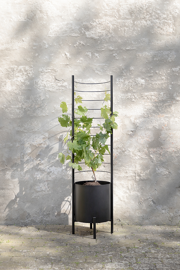 Tutor para Plantas Simply Grow, 145 cm