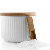 Legio Nova Salt container