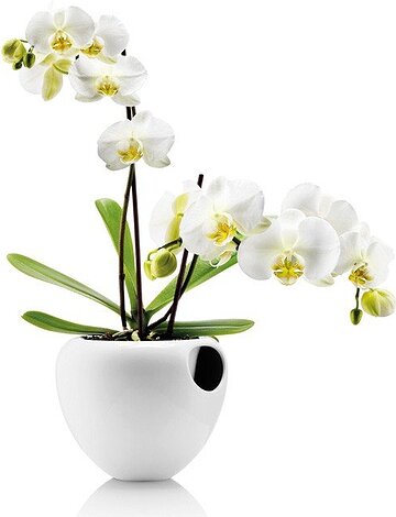 Doniczka samonawadniająca Orchid biała