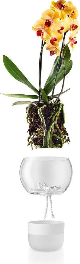 Maceta de autorriego de cristal Eva Solo, 15 cm