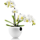 Orchid Self-irrigating flowerpot white