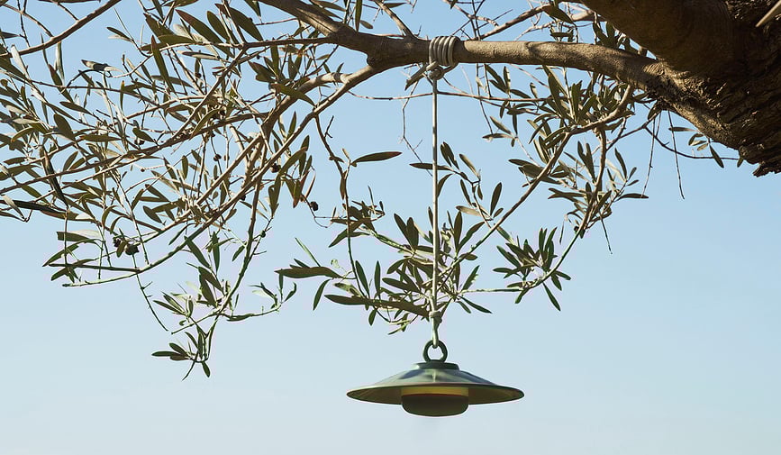 Aplique de pared inalámbrico Chap-O, verde salvia