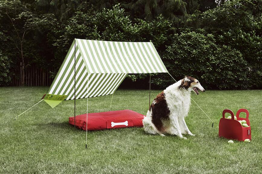 Bolsa Sjopper-Kees, amarilla