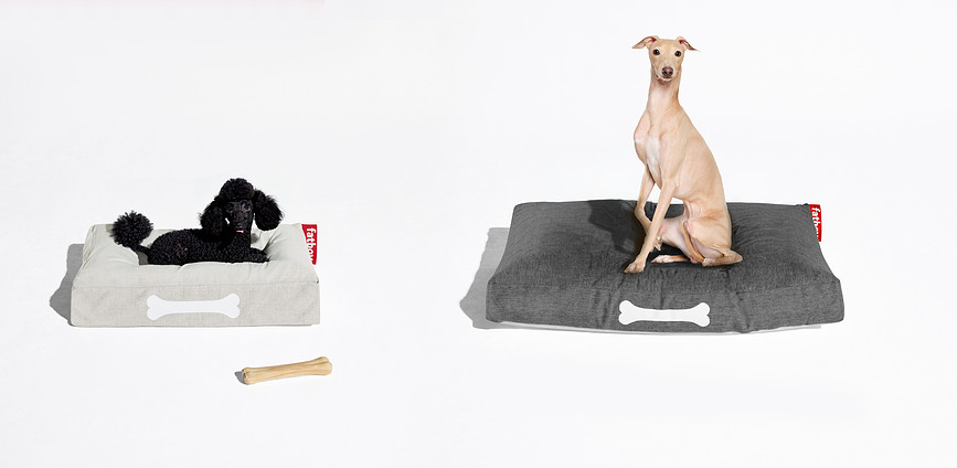 Cama para Perro de Olefin Doggielounge, 120 x 75 cm, gris oscuro