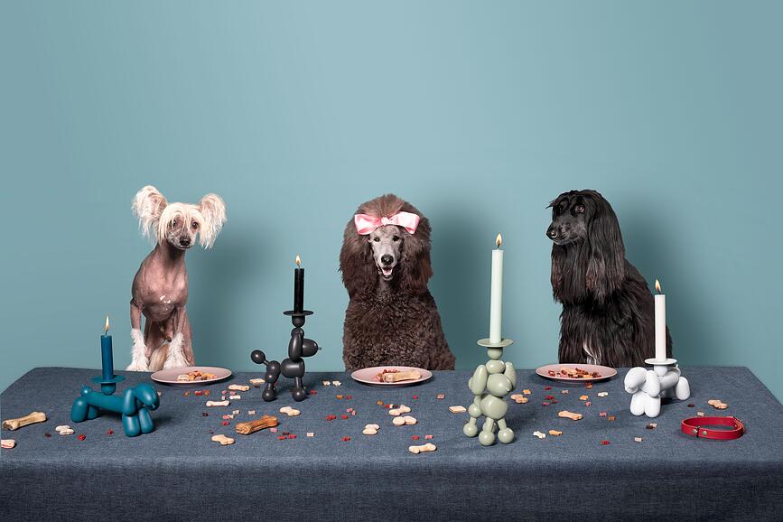 Can-Dog Bougeoir, anthracite