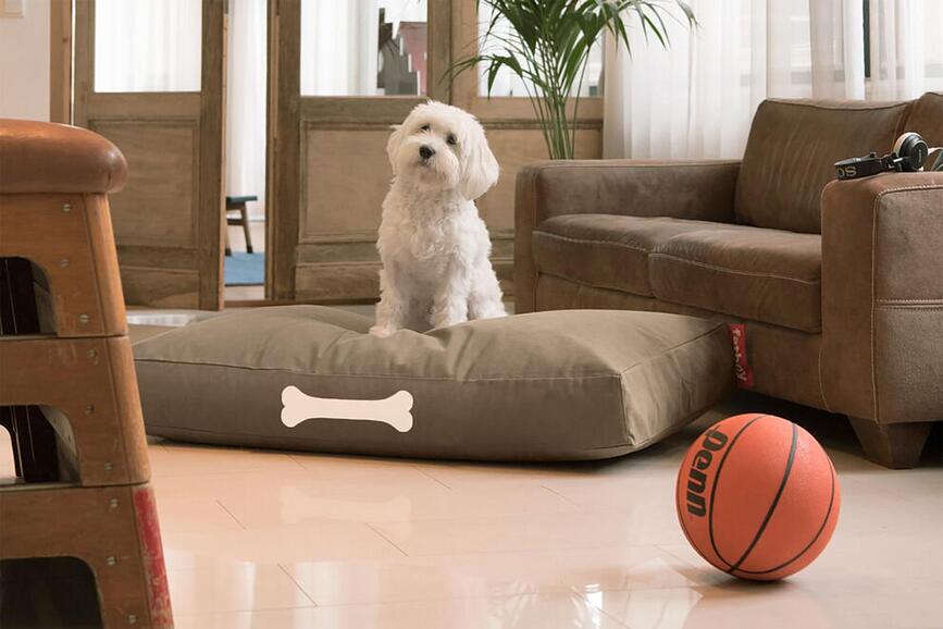 Cuccia per cani Doggielounge Canvas L 120 x 80 cm, marrone