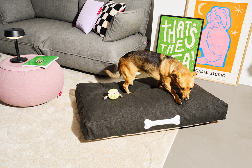 Doggielounge Lit pour Chien 120 x 75 cm, Olefin, gris foncé