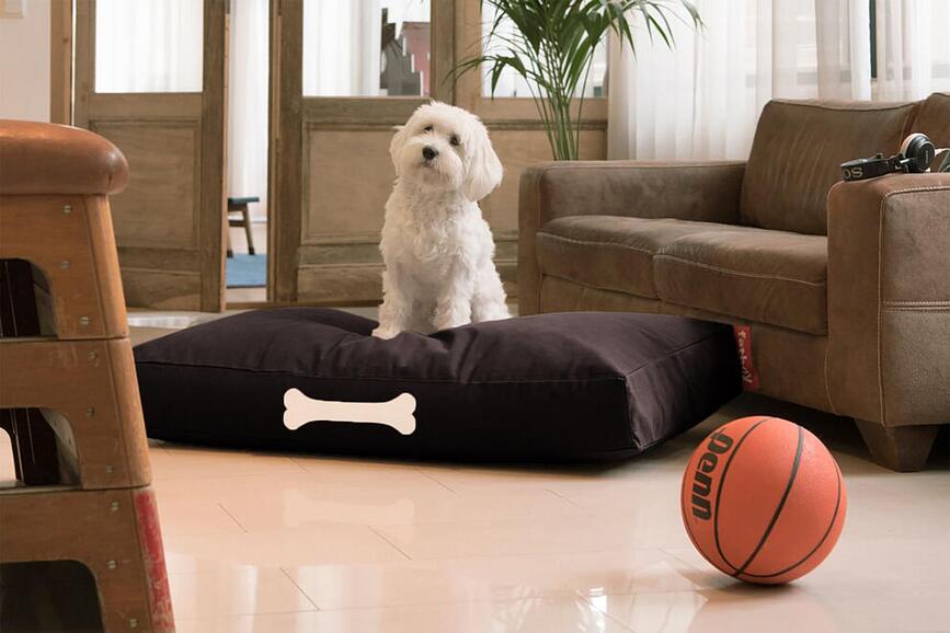 Ležišče za psa Doggielounge Canvas L 120 x 80 cm, rjavo