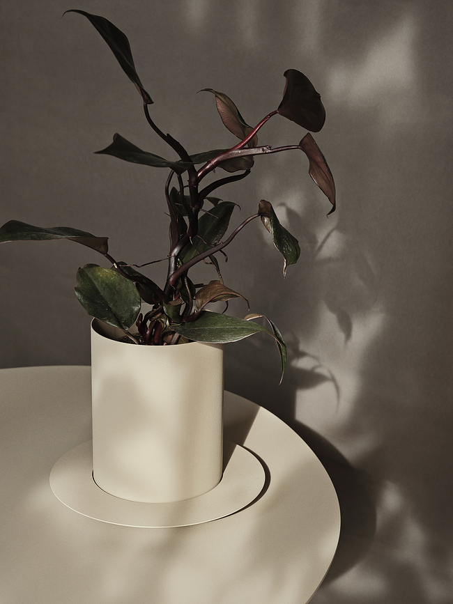 Auran Pot de Fleurs S, cachemire