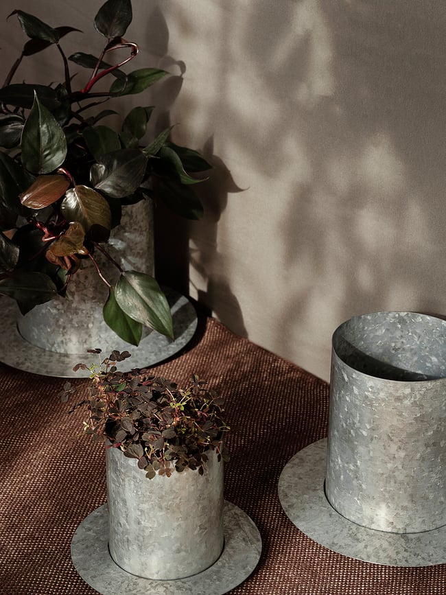 Auran Tegla S srebrna