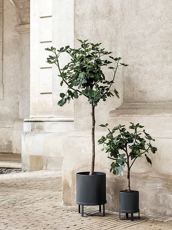 Bau Lonček velik, črn