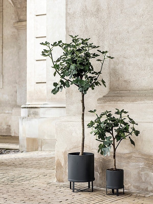 Bau Κασπώ, μεγάλο, μαύρο