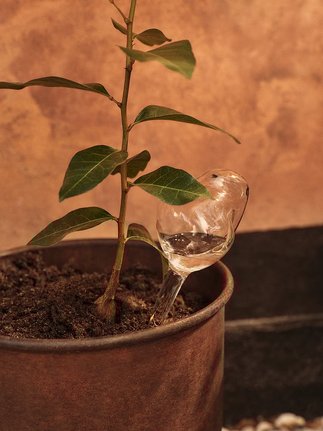 Bolas de riego Mercury 150 ml, transparentes, 2 unidades