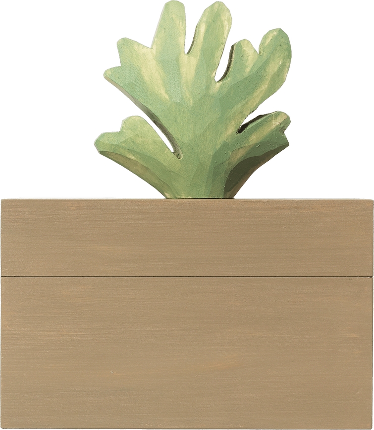 Caja Decorativa Harbour, coral