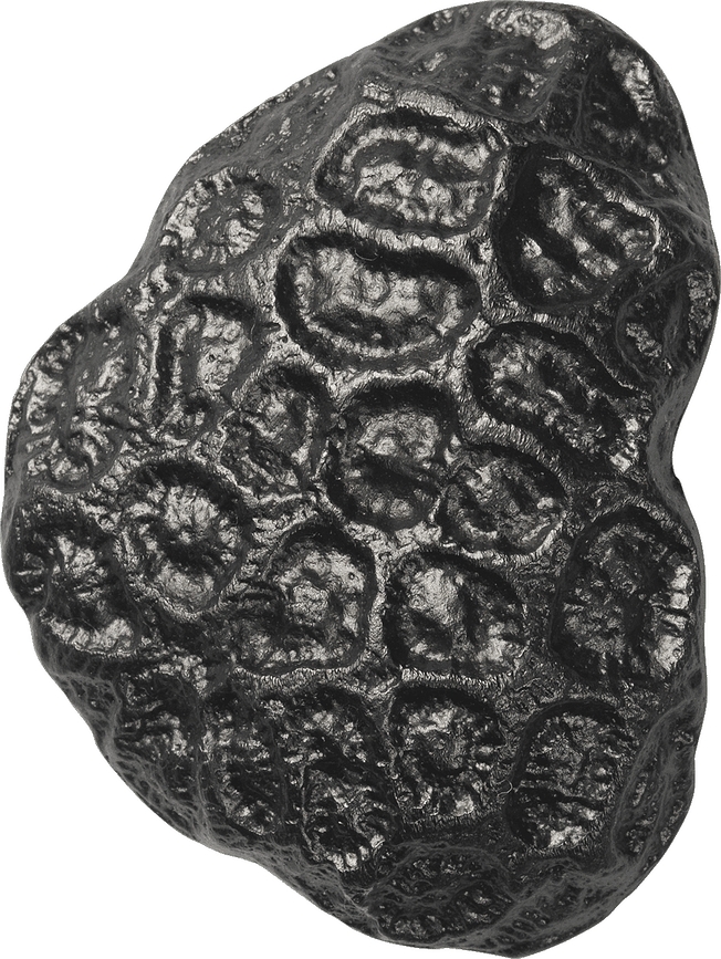 Comber Coral Crochet mural, noir