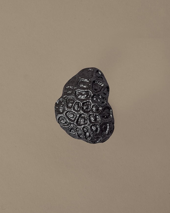 Comber Coral Kuka zidna crna