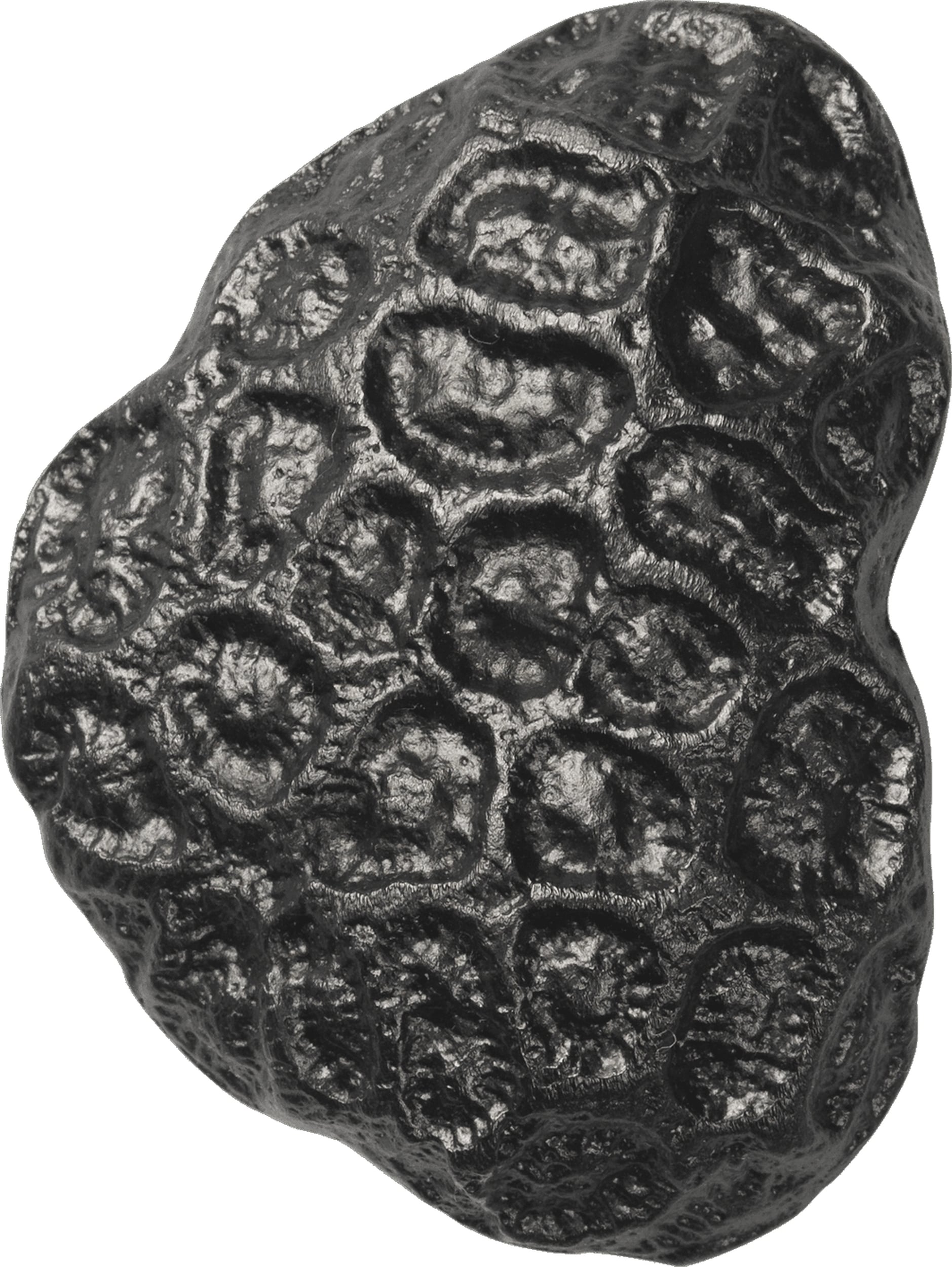 Comber Coral Wandhaken schwarz