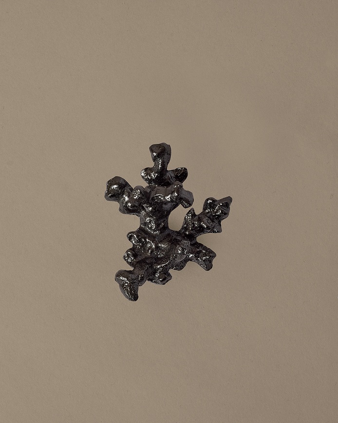 Comber Coral Branch Kuka zidna crna