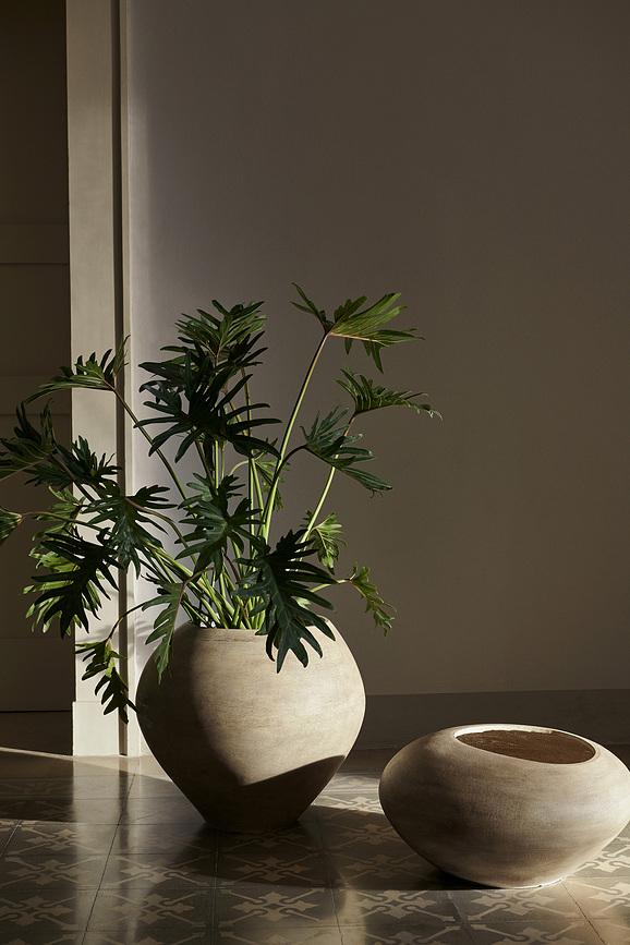 Dodu Okrasni lonec, 51 cm