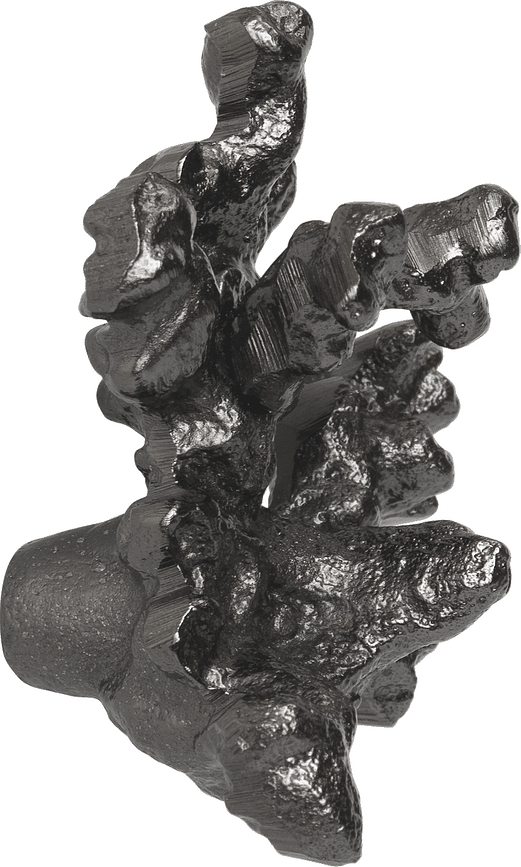 Perchero de pared Comber Coral Branch, negro