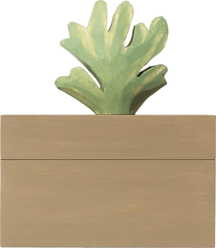 Harbour Kutija koraljna